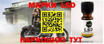дмт Шебекино