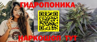 бошки Шелехов