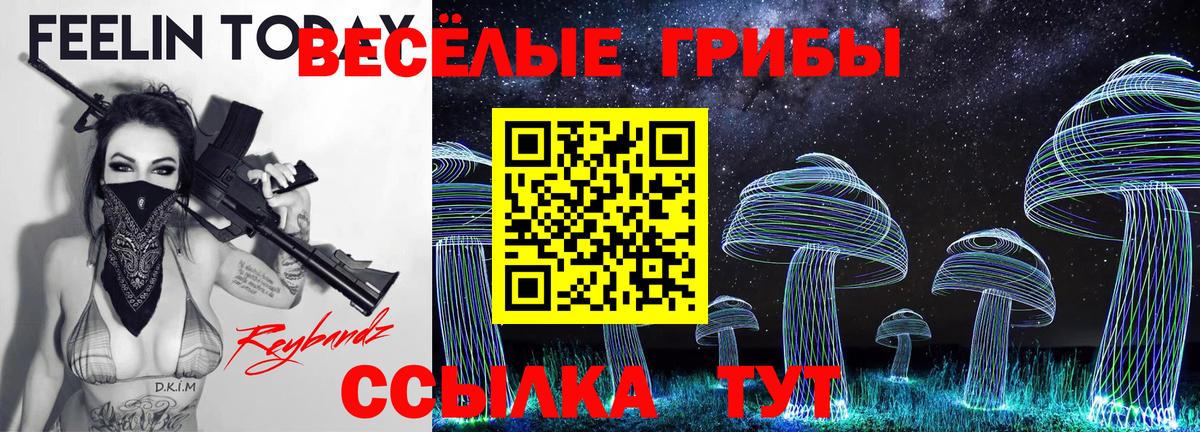 Псилоцибиновые грибы мухоморы  Вход с VPN  Бугуруслан 